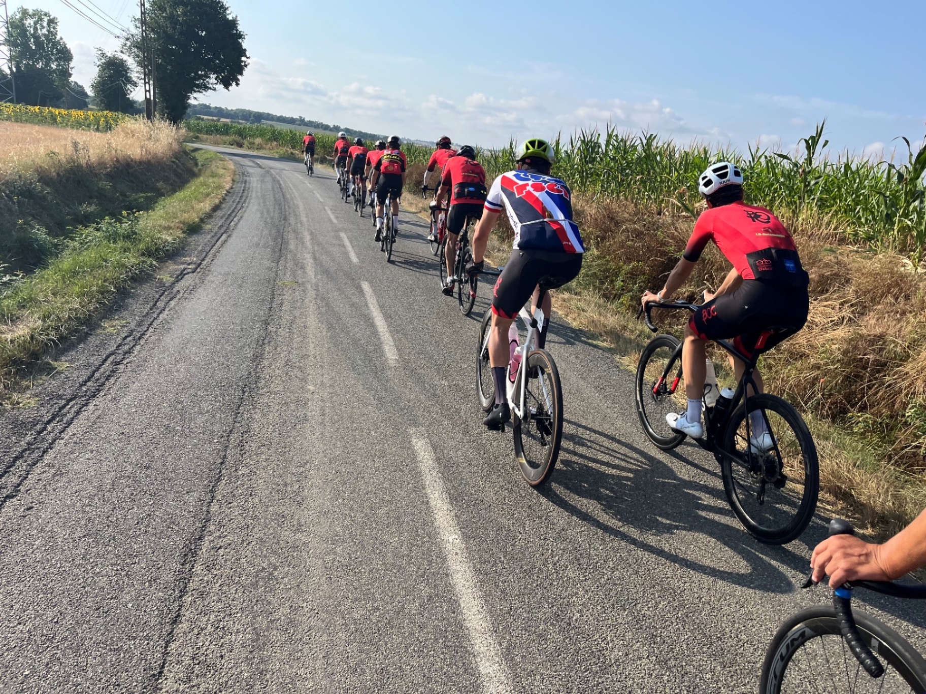 Cyclistes de la Team Cyclo du BOC en file indienne sur une route de campagne bordée de maïs et de tournesols